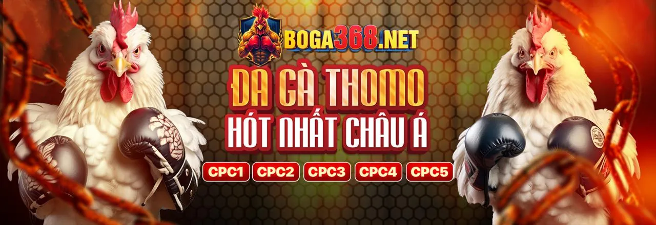 Đá Gà Trực Tuyến f888 Link Mới 2026